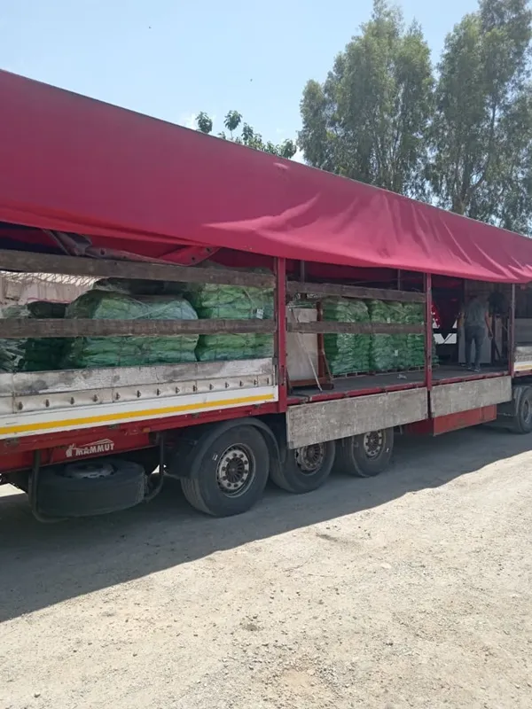 ترخیص کالا از گمرک