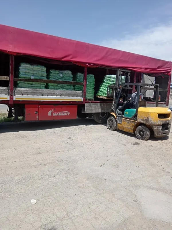 ترخیص کار گمرک